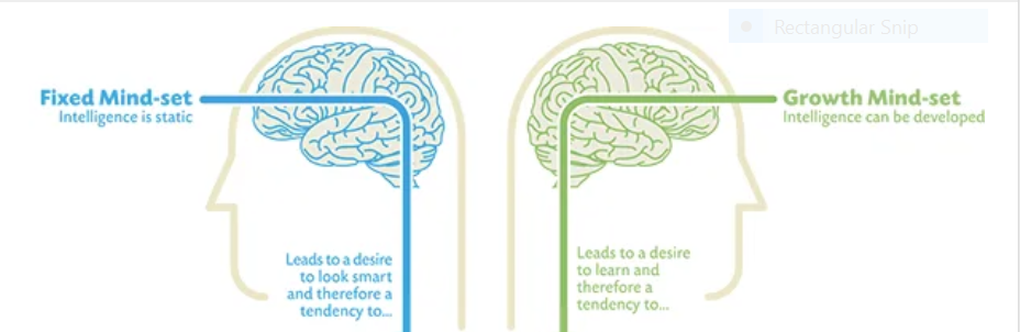 Fixed vs. Growth Mindset